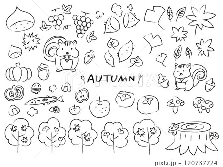 秋のものを集めた手描きイラストセット 120737724