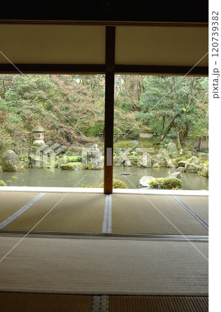 書院から臨む雨の蓮華寺 池泉庭園(京都市北区) 書院から臨む雨の蓮華寺 池泉庭園(京都市北区) 120739382