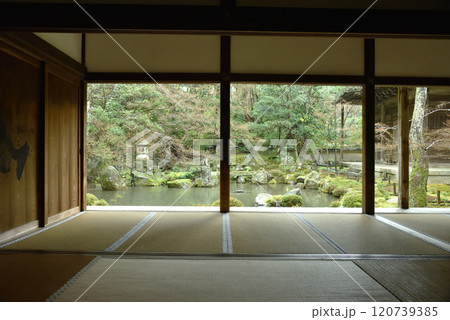 書院から臨む雨の蓮華寺　池泉庭園(京都市北区) 120739385