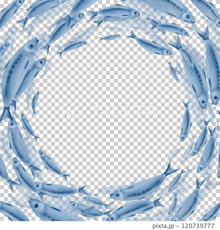 Sardine fish in a square round frame swimming in a shoal stylized watercolor illustration on a transparent background for fish restaurants, websites, posters, fish markets and stores Sardine fish in a square round frame swimming in a shoal stylized watercolor illustration on a transparent background for fish restaurants, websites, posters, fish markets and stores 120739777
