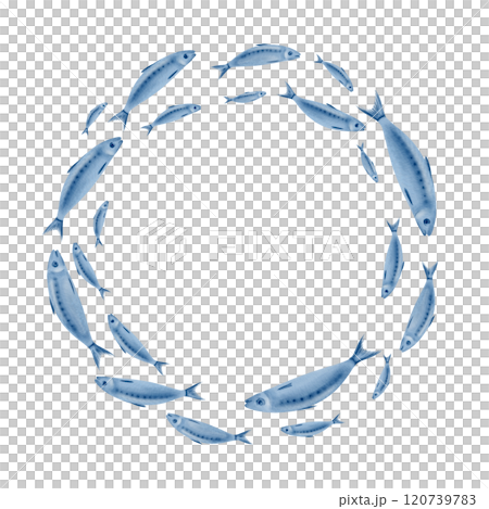 Sardine fish in a round wreath swimming in a shoal stylized watercolor illustration on a transparent background for fish restaurants, websites, posters, fish markets and stores Sardine fish in a round wreath swimming in a shoal stylized watercolor illustration on a transparent background for fish restaurants, websites, posters, fish markets and stores 120739783