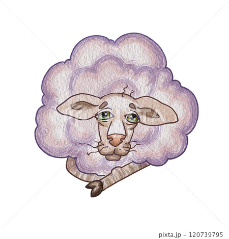 Old cartoon sheep. Illustration of a lilac lying sheep. Cartoon character for creating a postcard, sticker. Print on a cup or T-shirt. Meme with a sheep. Children's drawing of animals from the farm. Old cartoon sheep. Illustration of a lilac lying sheep. Cartoon character for creating a postcard, sticker. Print on a cup or T-shirt. Meme with a sheep. Children's drawing of animals from the farm. 120739795