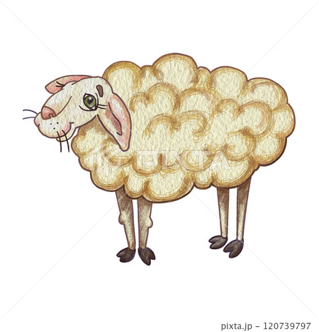 Funny naive sheep. Color illustration of beige sheep. Cartoon character for creating a postcard, sticker. Printing on a cup or T-shirt. Meme with a sheep. Children's drawing of animals from the farm. Funny naive sheep. Color illustration of beige sheep. Cartoon character for creating a postcard, sticker. Printing on a cup or T-shirt. Meme with a sheep. Children's drawing of animals from the farm. 120739797