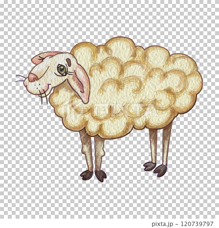 Funny naive sheep. Color illustration of beige sheep. Cartoon character for creating a postcard, sticker. Printing on a cup or T-shirt. Meme with a sheep. Children's drawing of animals from the farm. Funny naive sheep. Color illustration of beige sheep. Cartoon character for creating a postcard, sticker. Printing on a cup or T-shirt. Meme with a sheep. Children's drawing of animals from the farm. 120739797