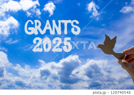 Planning grants 2025 new year symbol. Concept words Grants 2025 on beautiful blue sky. Beautiful blue sky clouds background. Hand with wooden bird. Business grants 2025 new year concept. Copy space. 120740548
