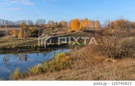 Beaver pond on the background of a beautiful autumn landscape 120740823