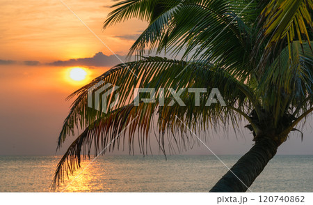 Sunset rays filter through palm leaves, illuminating the ocean and creating a relaxing atmosphere Sunset rays filter through palm leaves, illuminating the ocean and creating a relaxing atmosphere 120740862