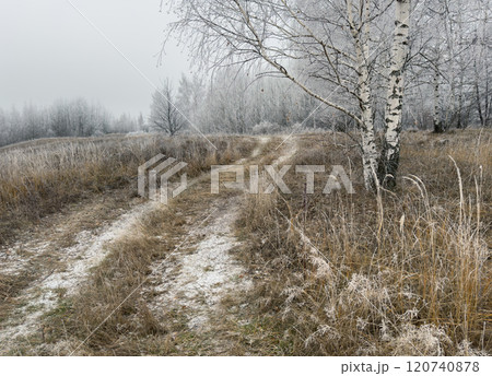 Forest trail surrounded by snow-covered trees on a cold winter morning 120740878