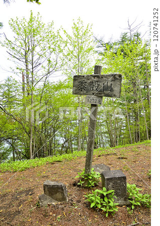 丹沢の黍殻山山頂 三等三角点(青根村) 丹沢の黍殻山山頂 三等三角点(青根村) 120741252