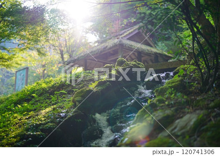 岐阜県八百津町五宝滝公園　朝日が差し込みゴーストが写りレトロな雰囲気 120741306