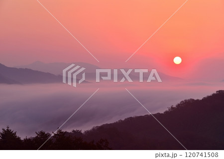 田之原展望台からの美郷町の両国おろし（雲海） 120741508