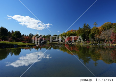 水面に映る紅葉と日本庭園 水面に映る紅葉と日本庭園 120742454