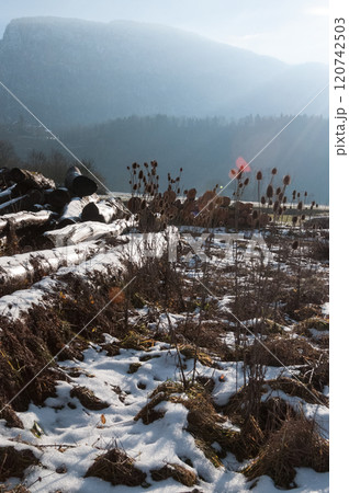 Winter landscape in Southern France 120742503