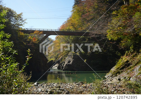 241104秋山郷猿飛橋 120742895