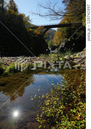 241104秋山郷猿飛橋 241104秋山郷猿飛橋 120742897