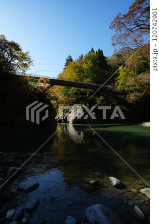 241104秋山郷猿飛橋 241104秋山郷猿飛橋 120742901