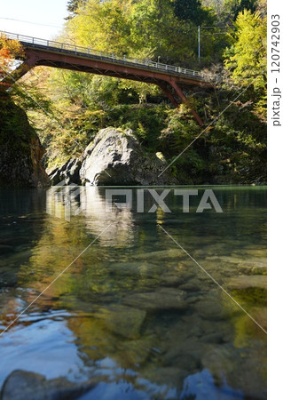 241104秋山郷猿飛橋 120742903