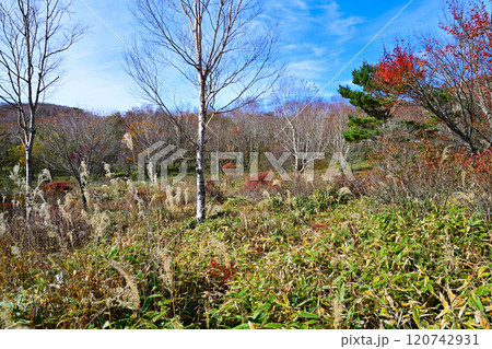 赤城小沼湖畔 晩秋の紅葉見ごろの風景 赤城小沼湖畔 晩秋の紅葉見ごろの風景 120742931