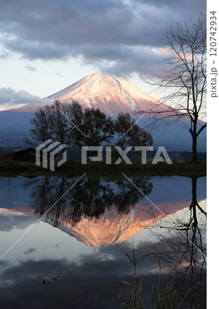 紅く染まる逆さ富士 紅く染まる逆さ富士 120742934