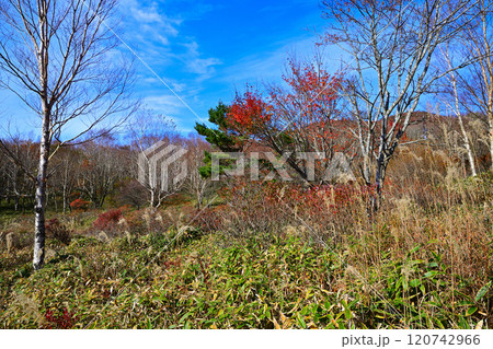 赤城小沼湖畔 晩秋の紅葉見ごろの風景 赤城小沼湖畔 晩秋の紅葉見ごろの風景 120742966