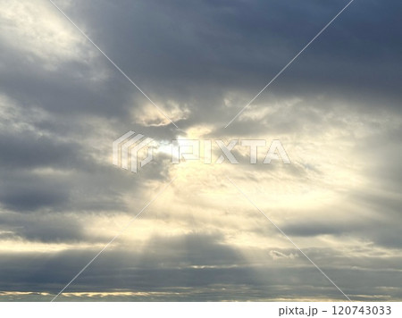 エンジェルラダー エンジェルラダー 120743033