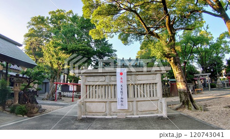 天皇陛下即位 120743041