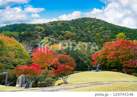 静岡県伊豆市 道の駅天城越えの紅葉(昭和の森会館) 静岡県伊豆市 道の駅天城越えの紅葉(昭和の森会館) 120743146