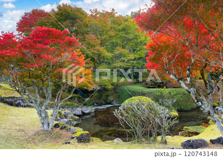 静岡県伊豆市　道の駅天城越えの紅葉(昭和の森会館) 120743148