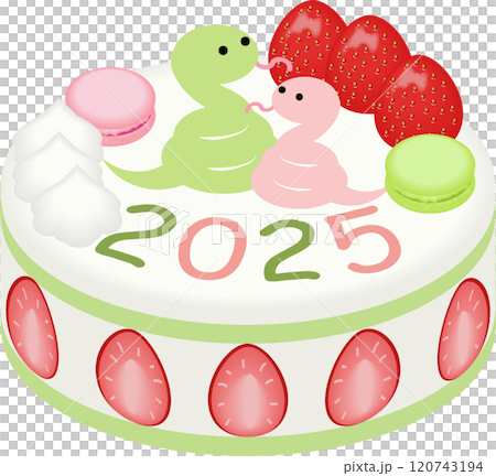 Snake Year Decoration Cake 120743194