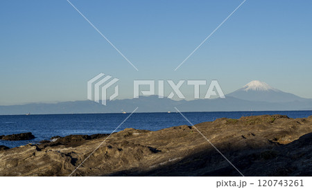 三浦半島の黒崎の鼻の冬 三浦半島の黒崎の鼻の冬 120743261