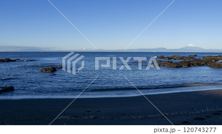 三浦半島の黒崎の鼻の冬 三浦半島の黒崎の鼻の冬 120743277