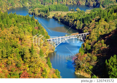 只見線 秋の第一只見川橋梁を渡る列車(福島県三島町、11月上旬) 只見線 秋の第一只見川橋梁を渡る列車(福島県三島町、11月上旬) 120743572