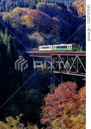 只見線　秋の滝谷川橋梁を渡る列車(福島県柳津町、11月上旬午後) 120743585