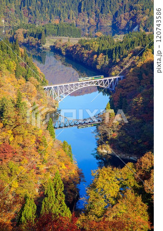 只見線　秋の第一只見川橋梁を渡る列車(福島県三島町、11月中旬午前) 120743586