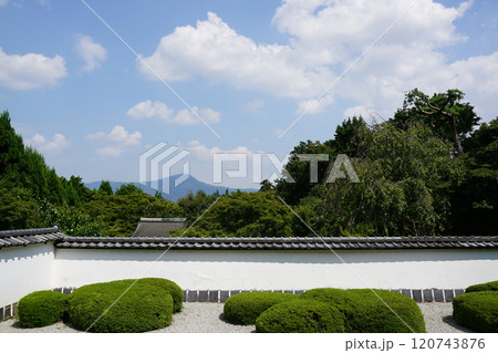 西賀茂正伝寺庭園 120743876