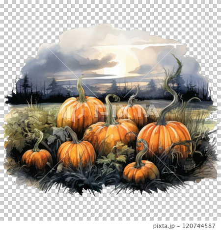 Watercolor Painting of Pumpkins in a Field at Sunset 120744587