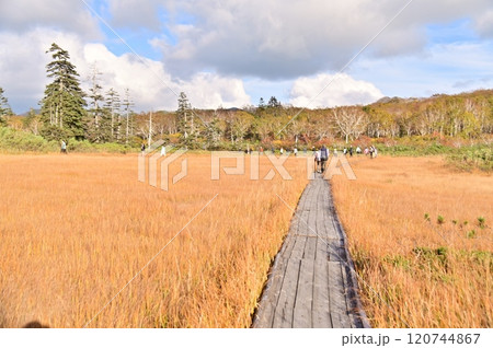 草もみじの湿原を歩く観光客 草もみじの湿原を歩く観光客 120744867
