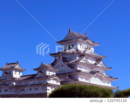 そびえ立つ姫路城 11月 そびえ立つ姫路城 11月 120745116