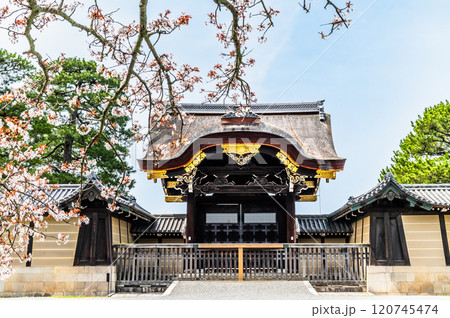 春の京都御苑　建春門と桜 120745474