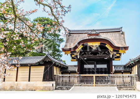 春の京都御苑　建春門と桜 120745475
