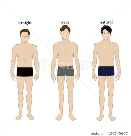 男性の骨格診断イラスト 120745607