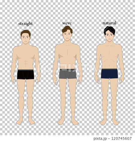 男性の骨格診断イラスト 120745607