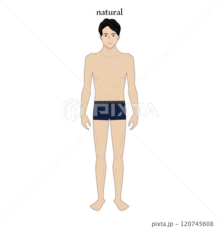 骨格ナチュラルの男性の骨格診断イラスト 120745608