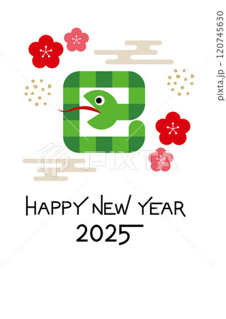 2025年巳年の年賀状はがき素材45の1 120745630