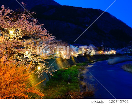 山形県鶴岡市あつみ温泉の夕景と夜桜の風景より 山形県鶴岡市あつみ温泉の夕景と夜桜の風景より 120745702