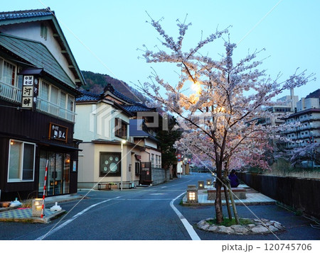 山形県鶴岡市あつみ温泉の夕景と夜桜の風景より 120745706