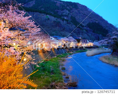 山形県鶴岡市あつみ温泉の夕景と夜桜の風景より 120745711