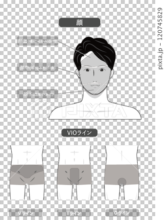 Image illustration of vector data of white background indicating the whole body of the hair removal esthetics of young Asians Image illustration of vector data of white background indicating the whole body of the hair removal esthetics of young Asians 120745829