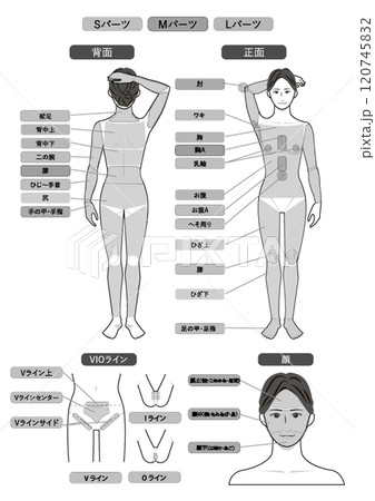 若いアジア人の脱毛エステの全身の箇所指示白バックのベクターデータのイメージイラスト図 120745832