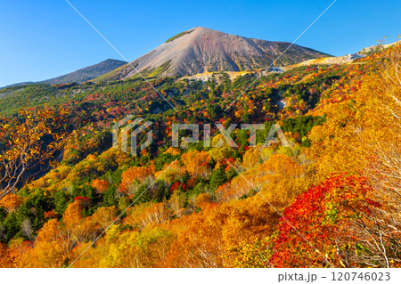 福島県福島市　高湯温泉と土湯峠を結ぶ磐梯吾妻スカイライン　天狗の庭付近の鮮やかな紅葉と吾妻小富士 120746023